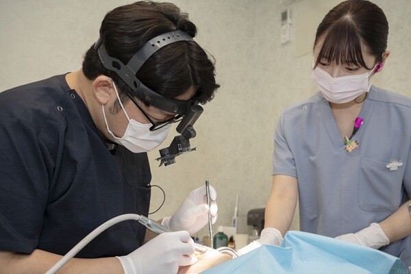 せいしんかいの思い